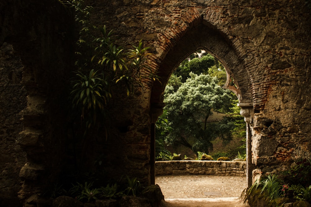 brown concrete arch near green trees during daytime