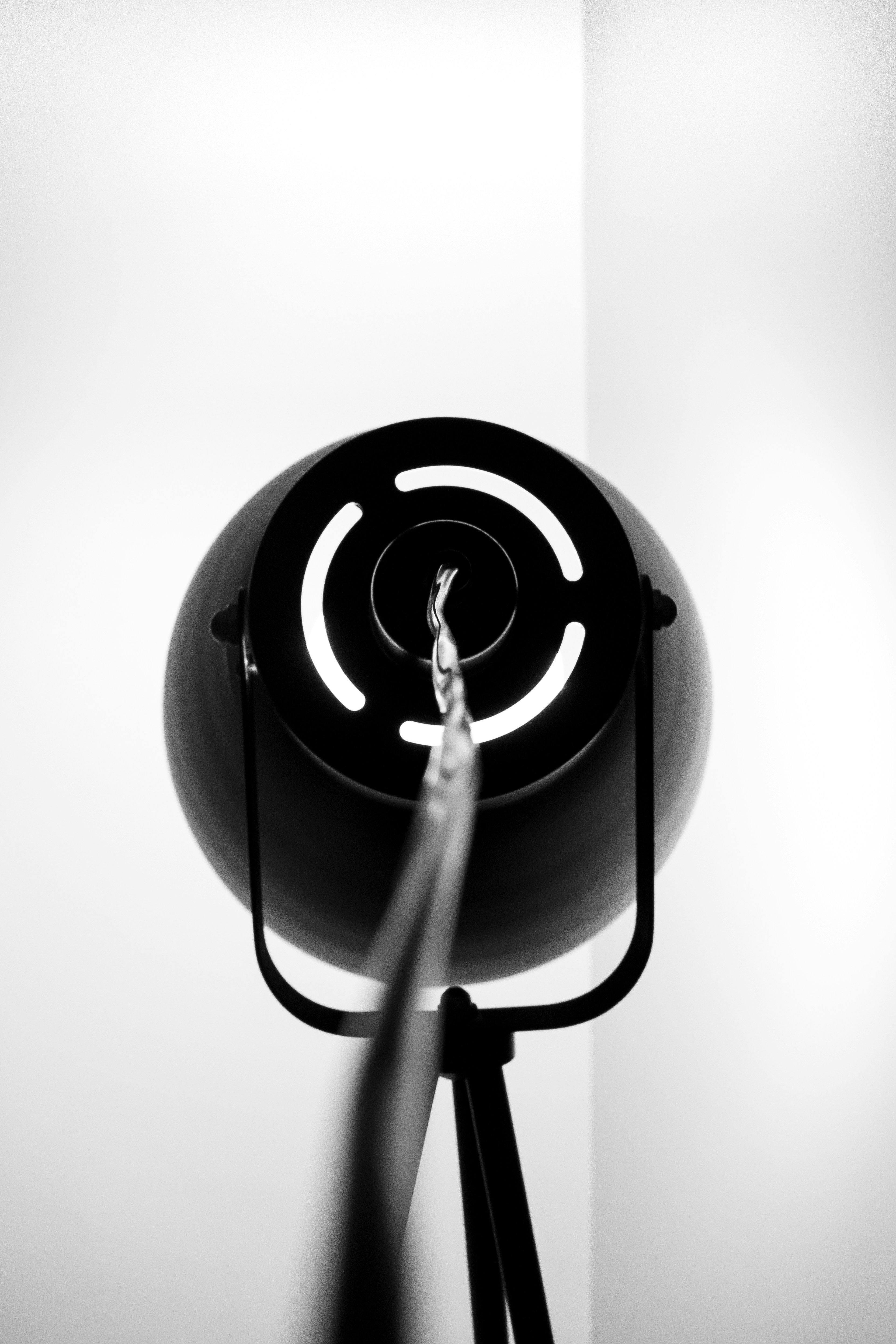 Photo by pedrobarros