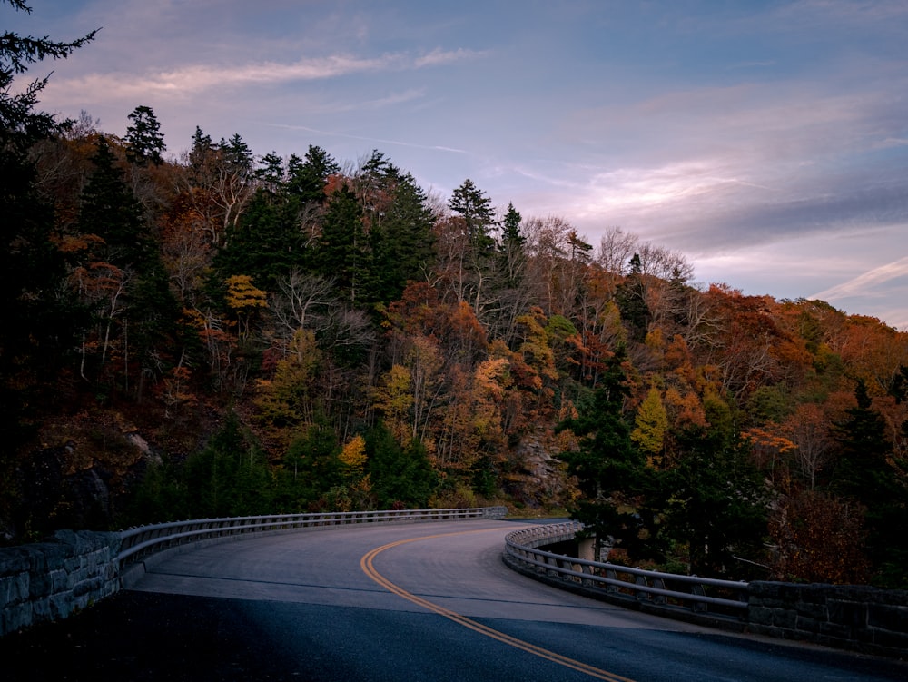 black asphalt road between trees under cloudy sky during daytime