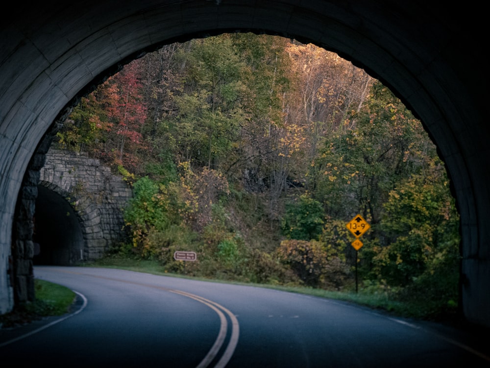 昼間の木々の間にある黒いアスファルト道路