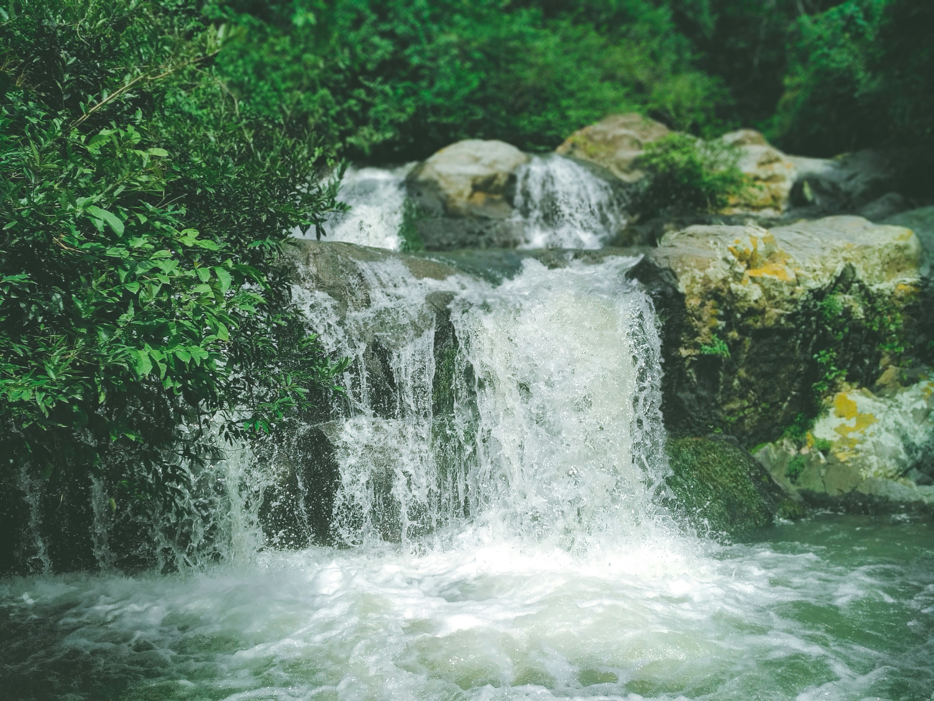 Photo by alejandroalas7536