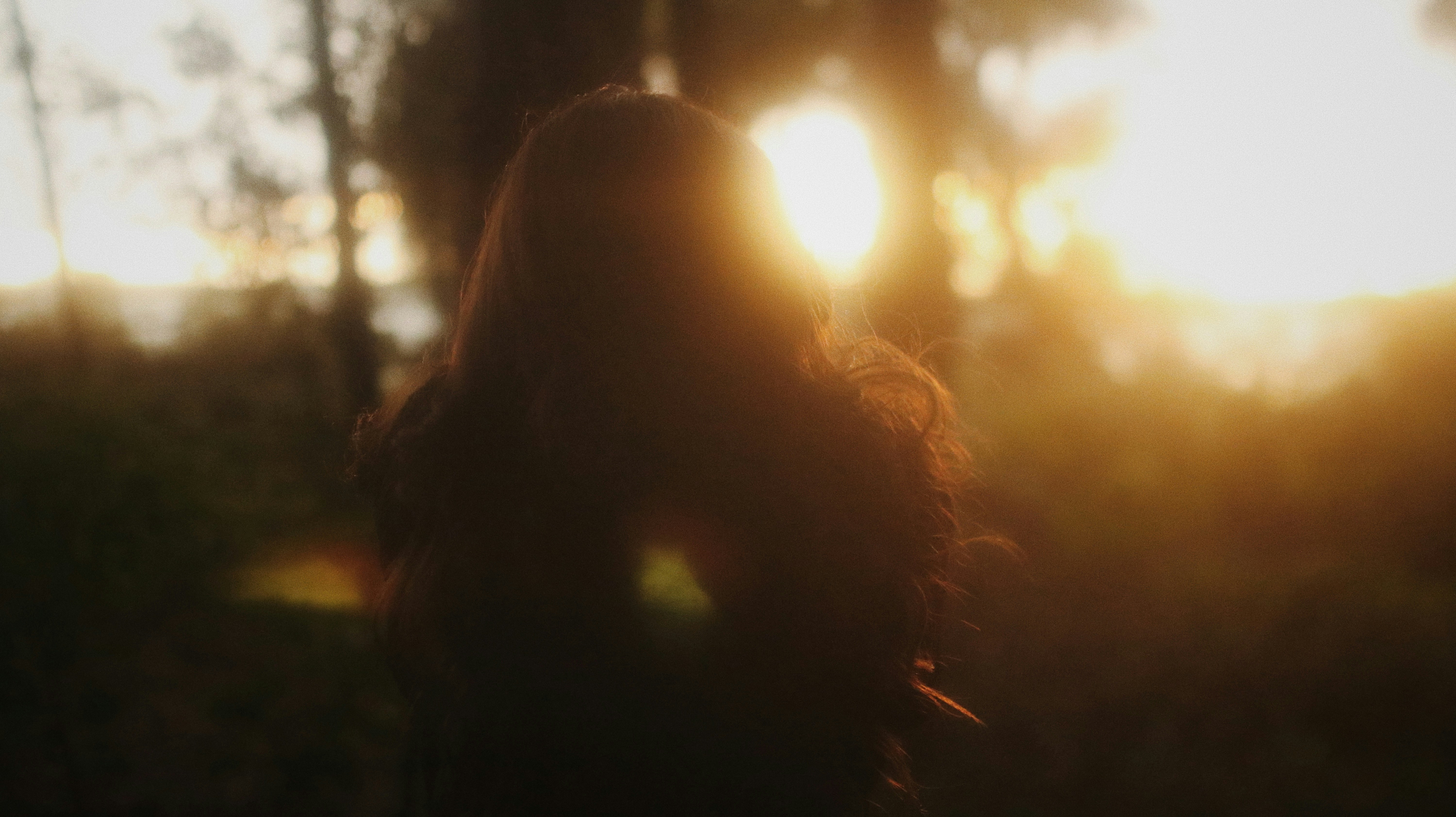 Evanesco Network header image