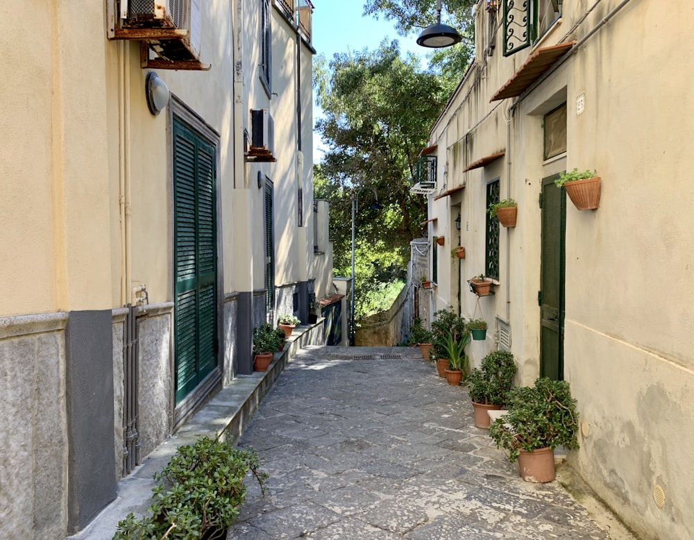 empty street between concrete houses during daytime