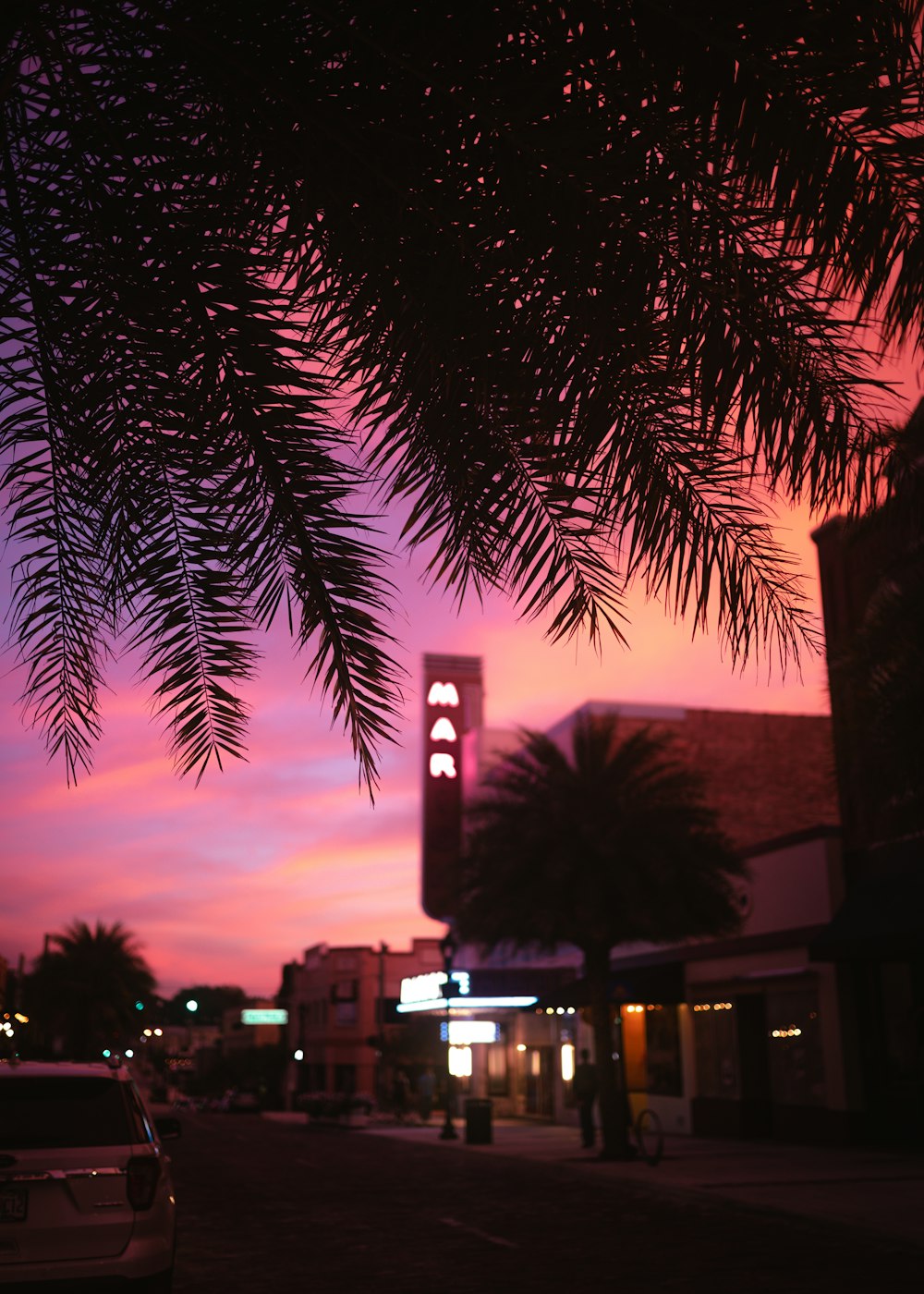 Palmera cerca del edificio durante la puesta del sol