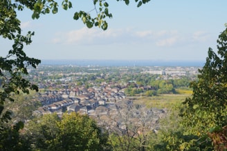 A residential neighborhood with numerous houses can be seen from a higher vantage point, surrounded by lush greenery and trees. The horizon features the distant view of a cityscape with a body of water visible under a mostly clear blue sky.