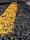 A close-up view of a rough asphalt surface with a textured yellow line running through it.