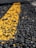 A close-up view of a rough asphalt surface with a textured yellow line running through it.