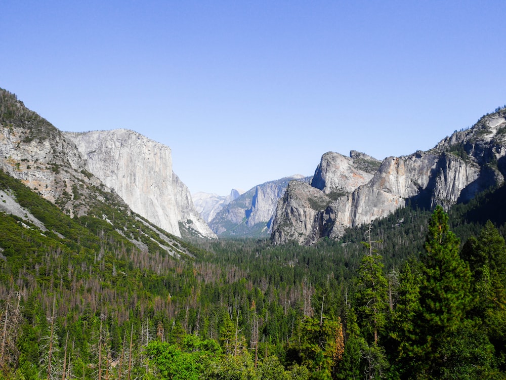 green trees near gray mountain under blue sky during daytime