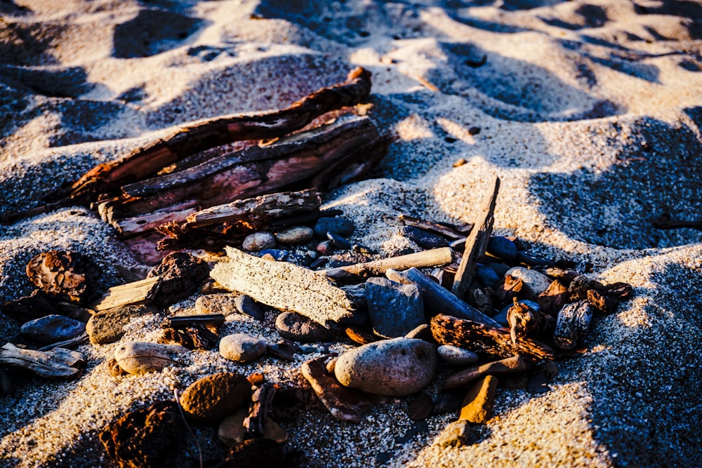 brown wood log on white sand during daytime