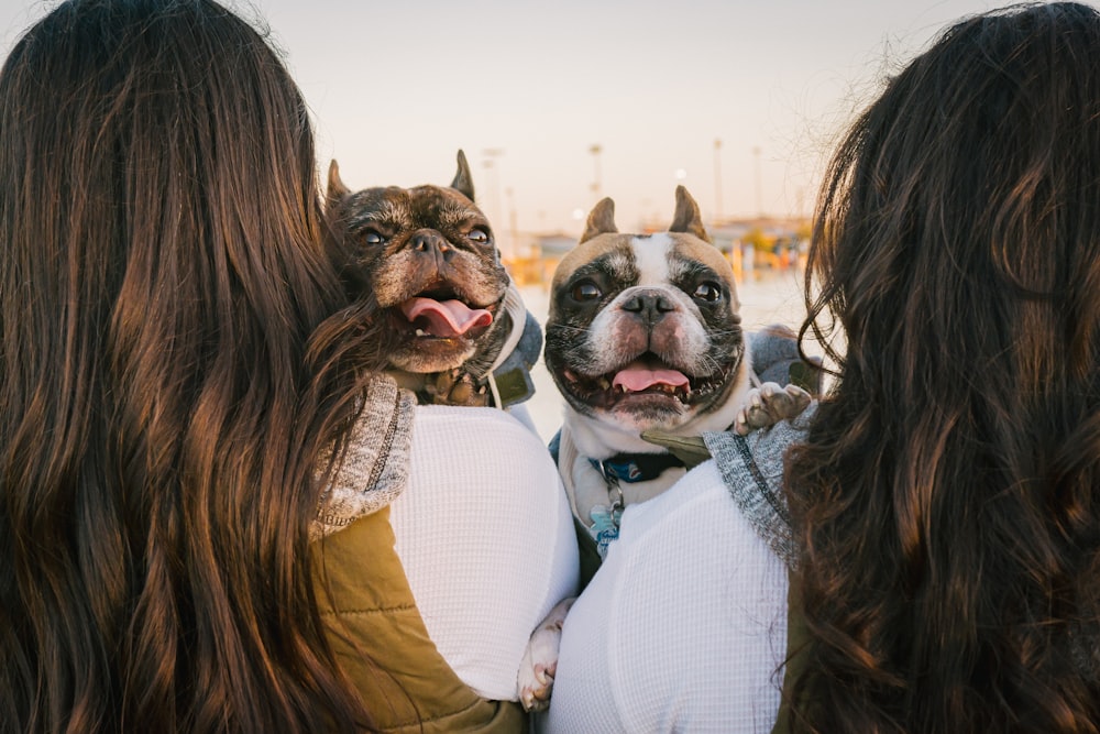 a group of people standing around a dog