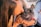 woman in orange shirt holding black pug