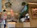 The image depicts the interior of a fast-casual restaurant with a rustic design. Wooden walls and ceiling feature prominently, with several hanging planters and decorative light fixtures. A counter with a menu board above features food images. A barista prepares drinks as two customers stand nearby, examining the menu.