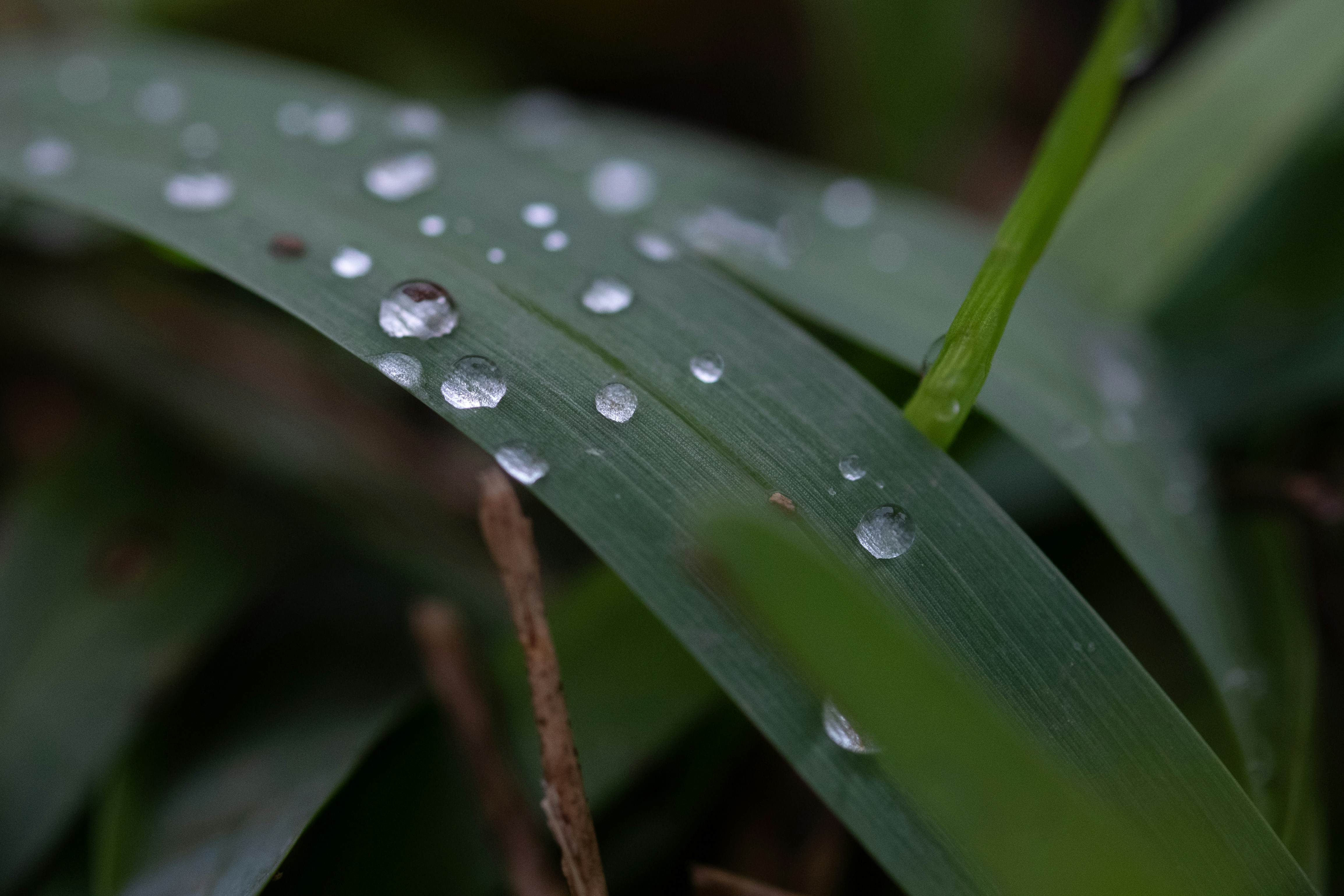 Photo by correliebre