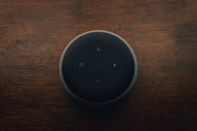 Alexa Multi-Room Audio Kit