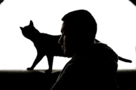 An artistic illustration blending a cat's silhouette with a dinosaur skeleton.