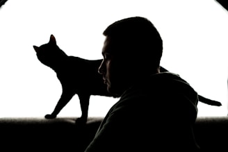 An artistic illustration blending a cat's silhouette with a dinosaur skeleton.