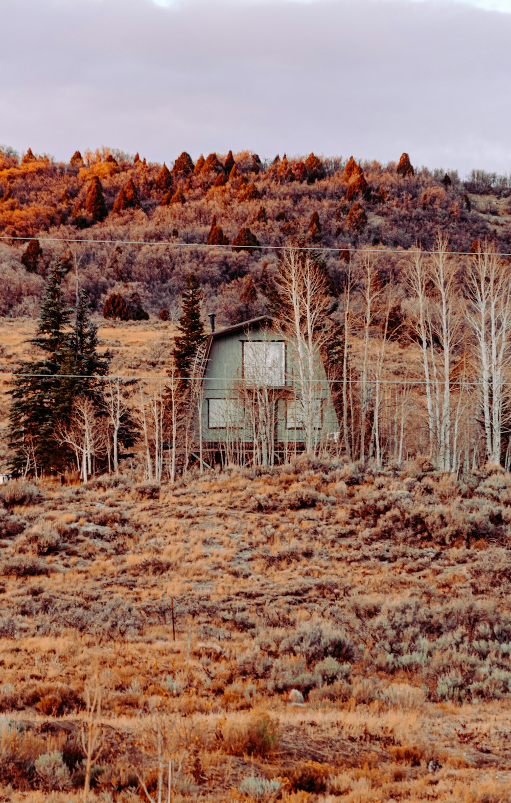 brown wooden house on brown grass field