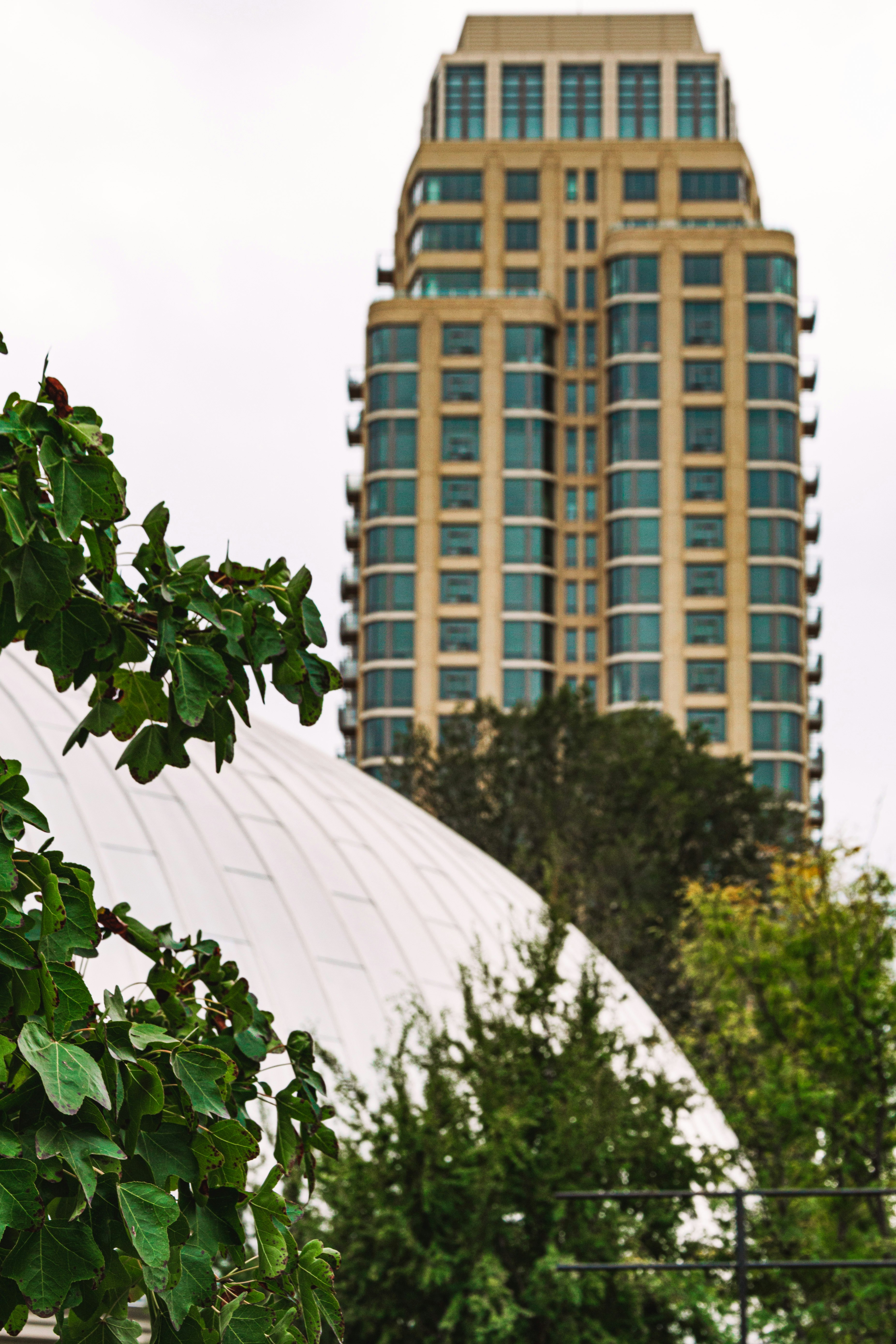 green plant near white concrete building during daytime