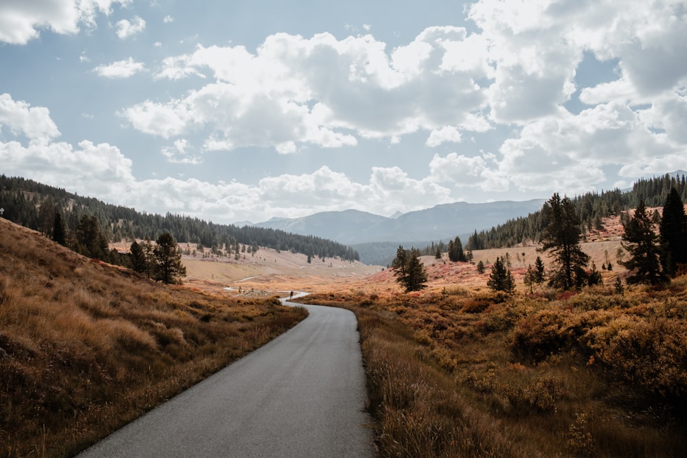 gray asphalt road between brown grass field under white cloudy sky during daytime