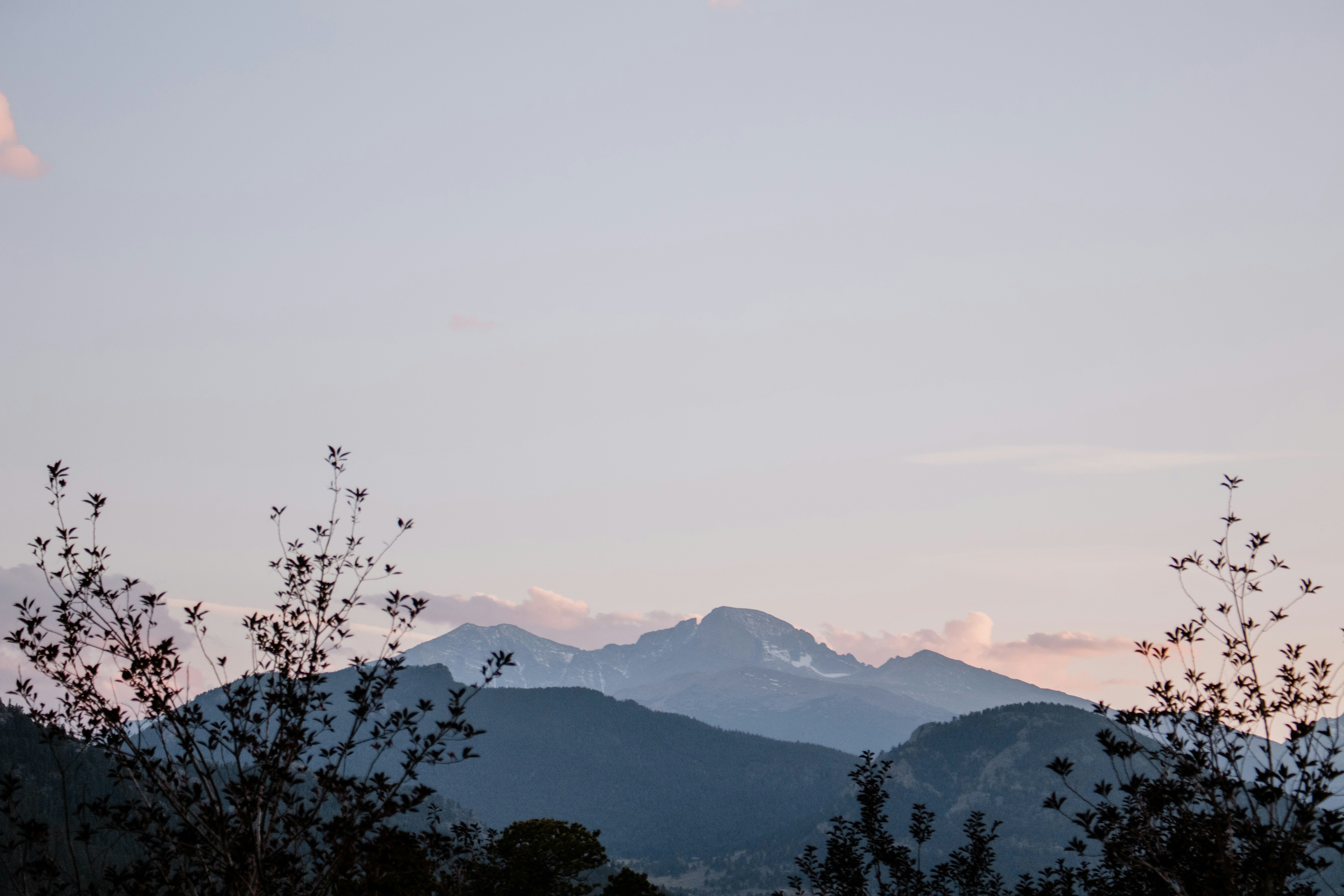 arbres verts près de la montagne pendant la journée