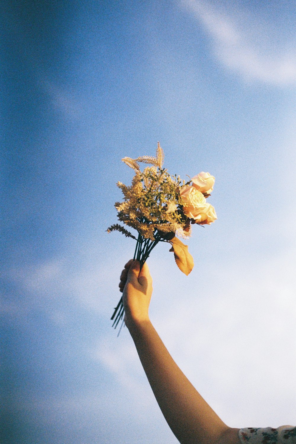 Persona sosteniendo una flor amarilla bajo el cielo azul durante el día