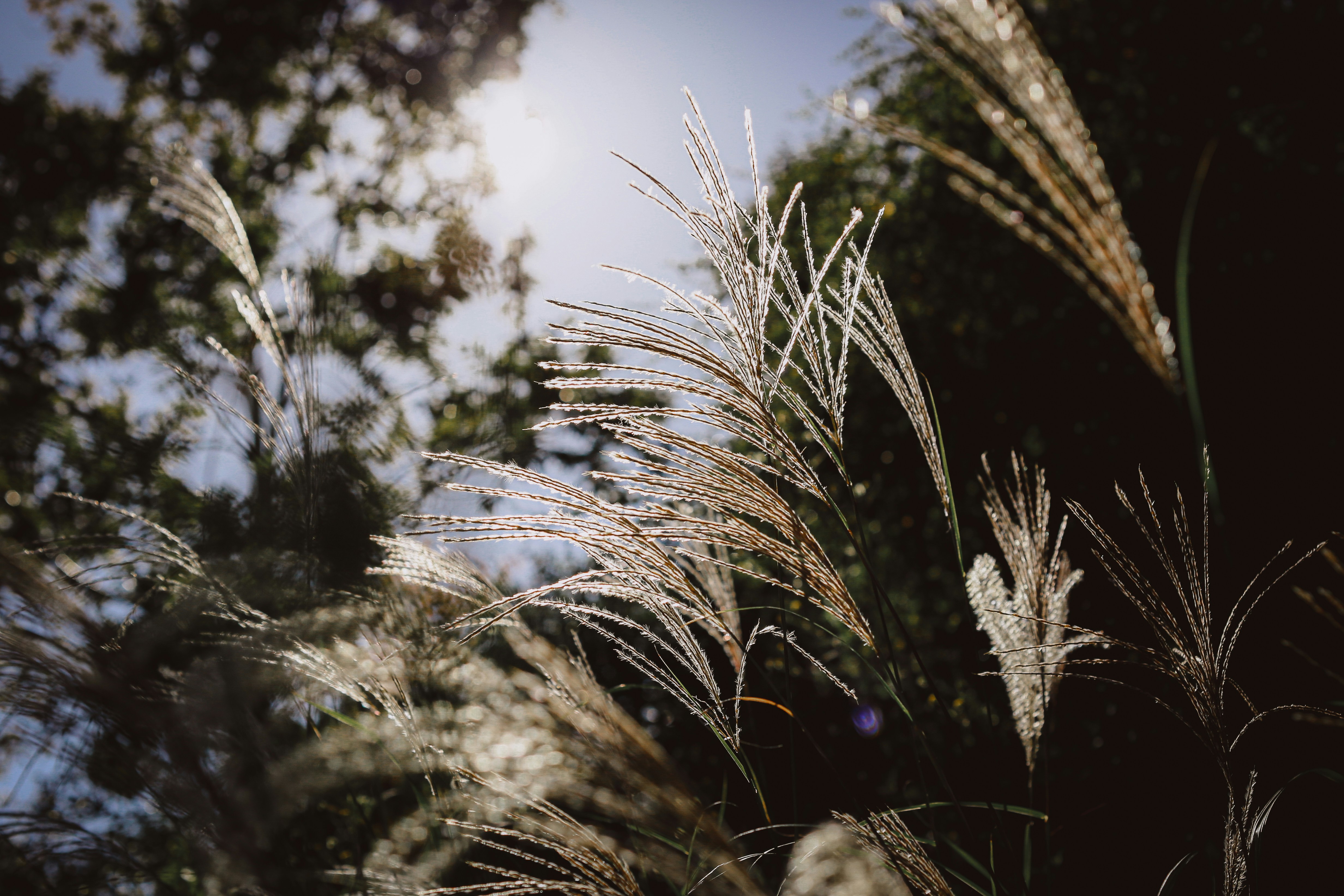 Photo by shimikumi32