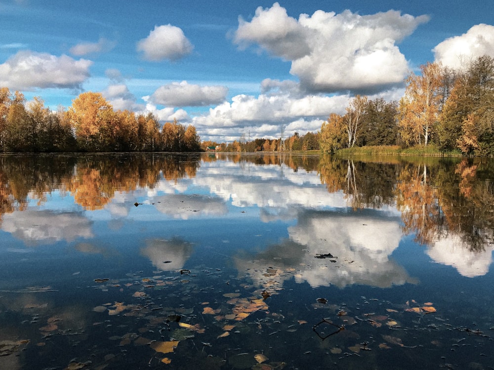 brown trees beside river under blue sky and white clouds during daytime