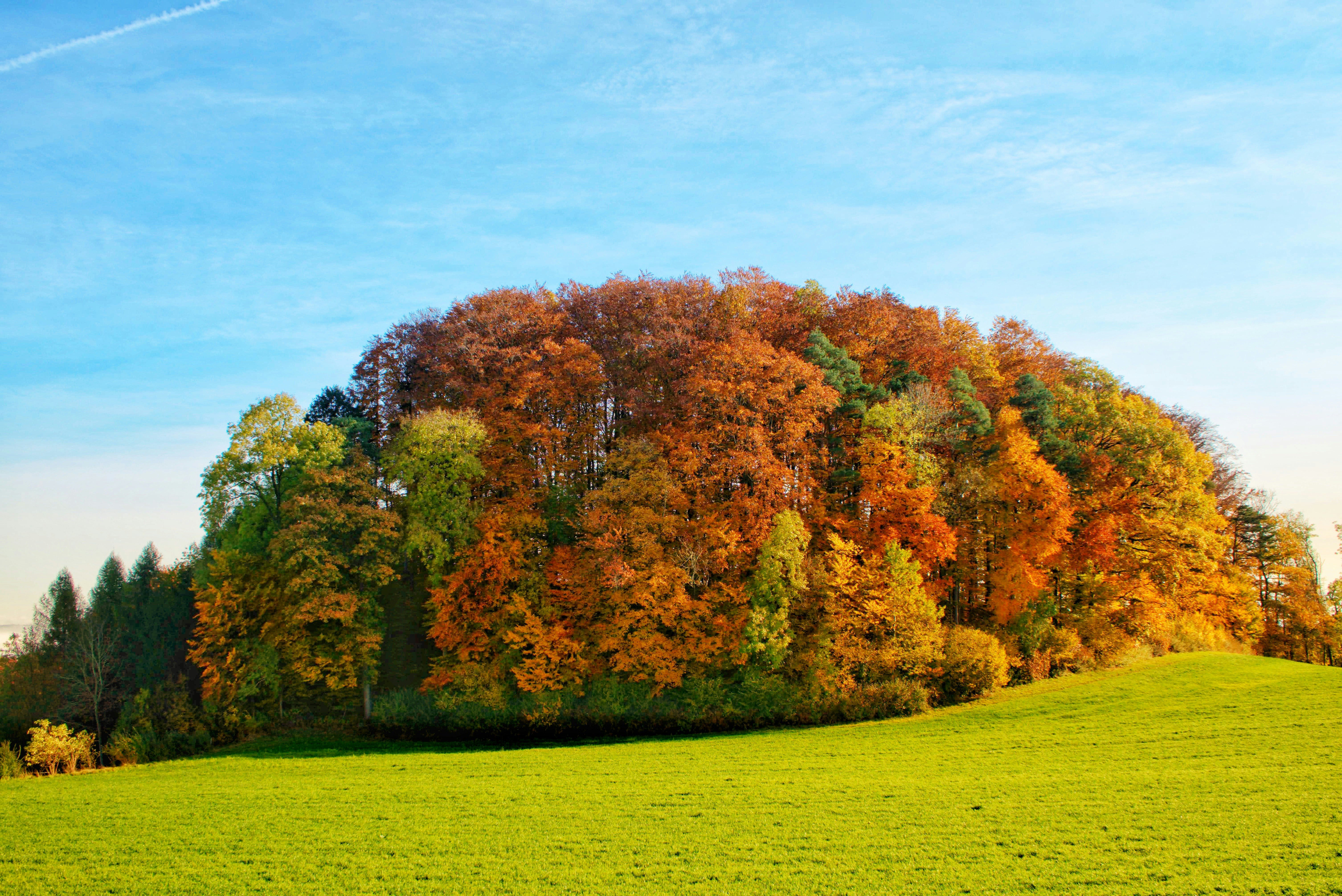 Image by L S via Unsplash