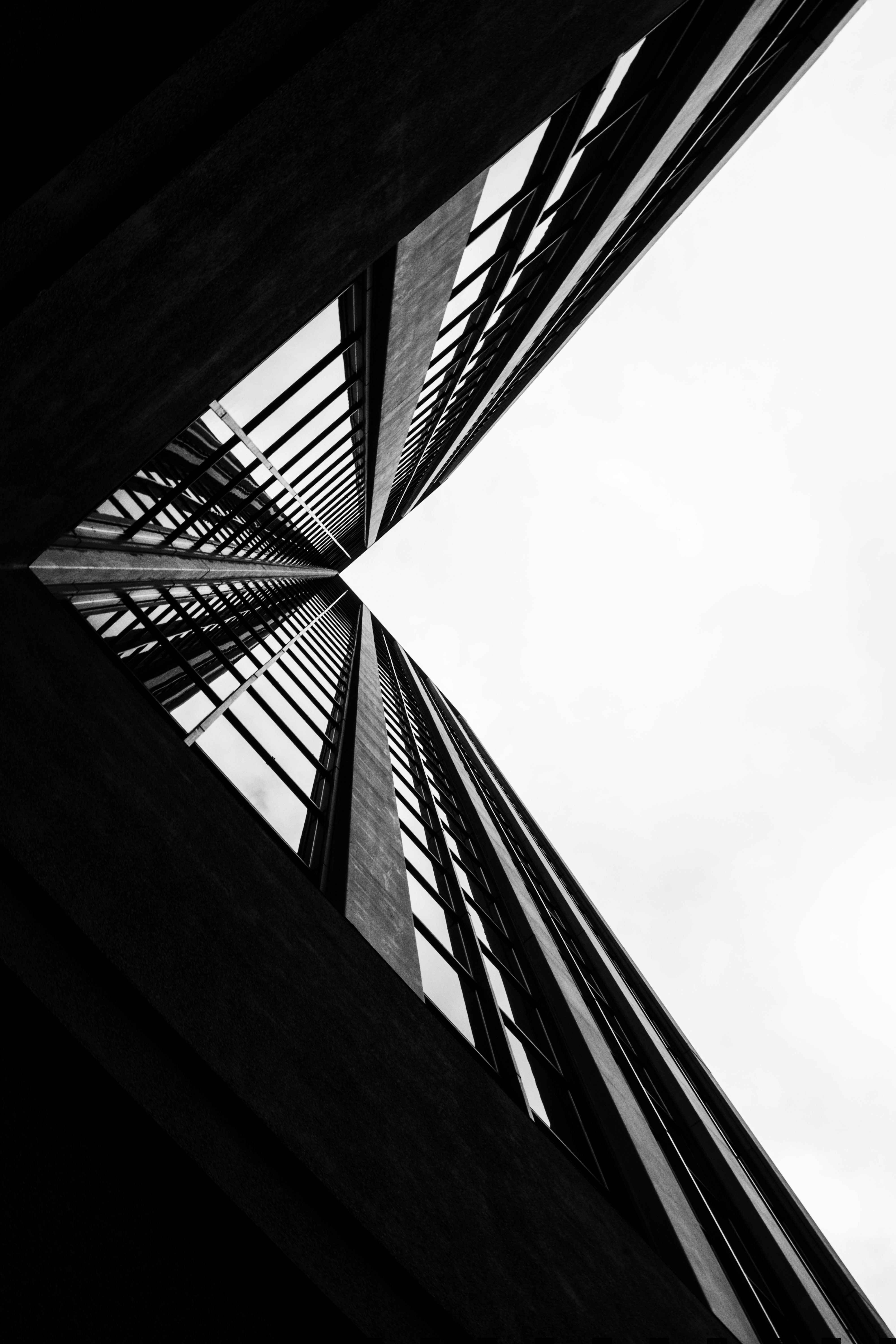 Photo by shunyakoide