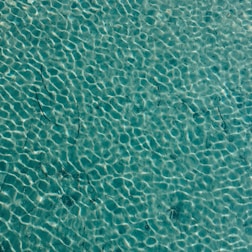 Clear water with visible ripples, creating a textured surface appearance. The sunlight casts gentle patterns on the water, highlighting variations in color and depth.