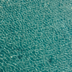 Clear water with visible ripples, creating a textured surface appearance. The sunlight casts gentle patterns on the water, highlighting variations in color and depth.