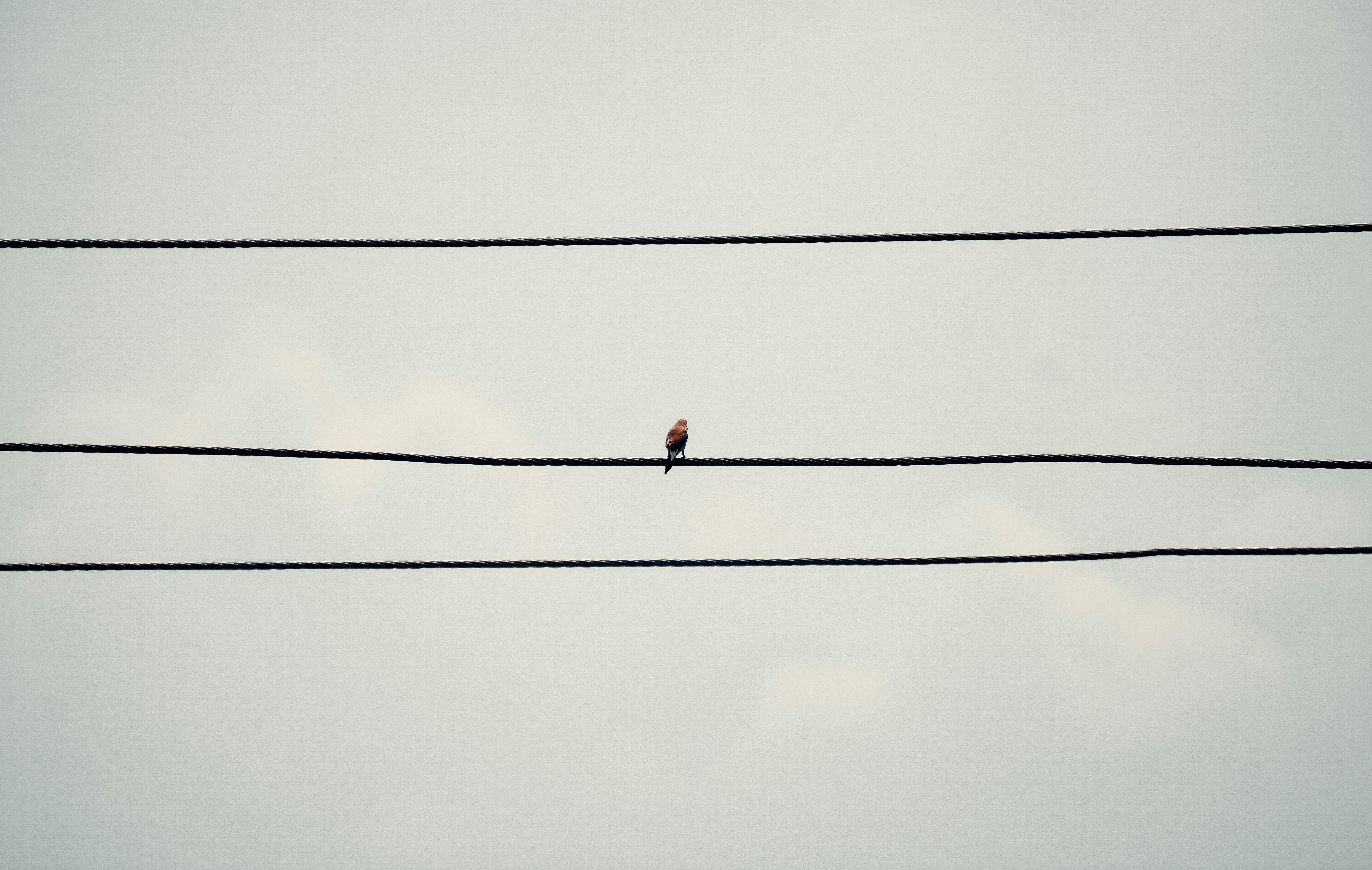 Photo by infinity_loops