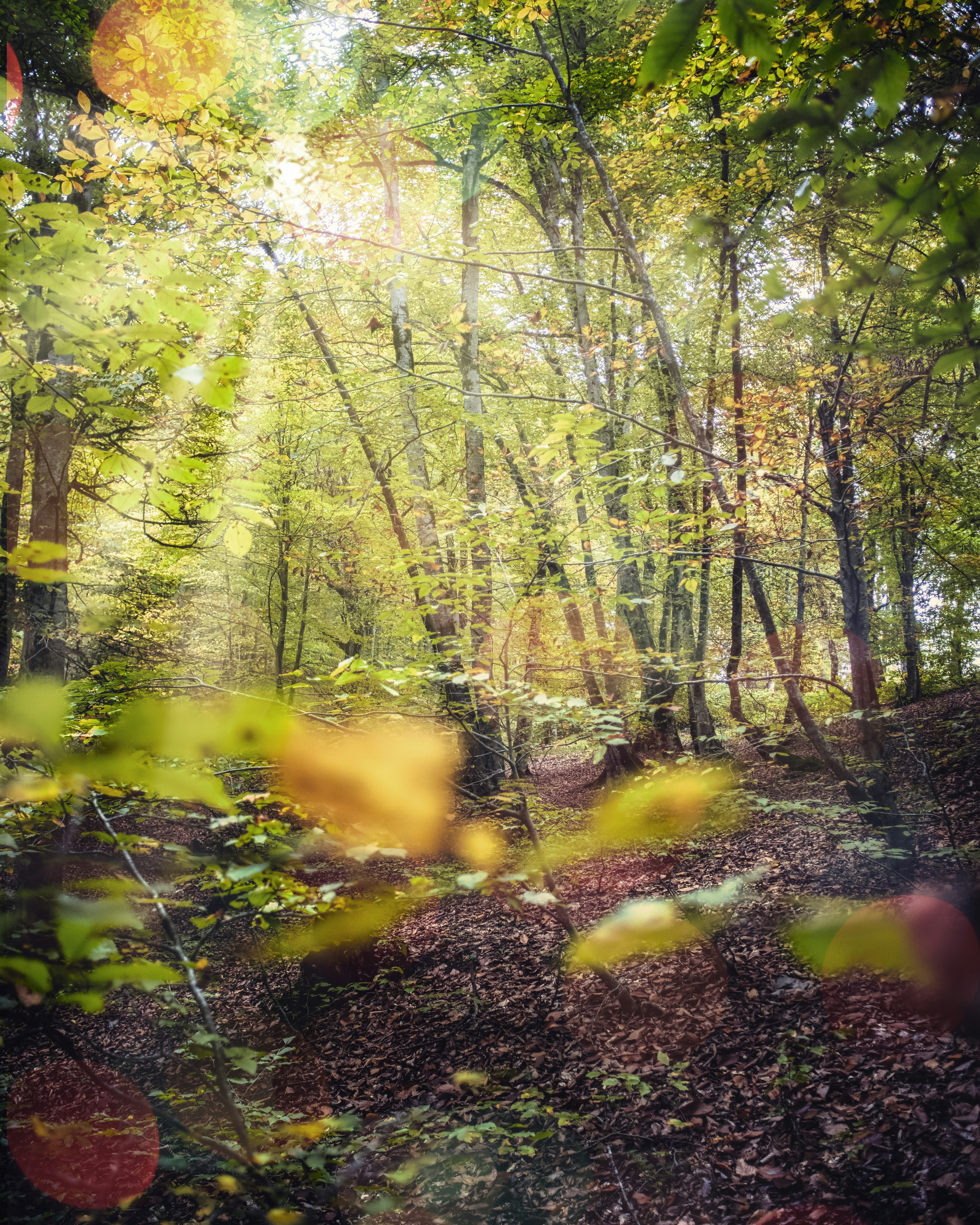 Photo by libraryofsamael