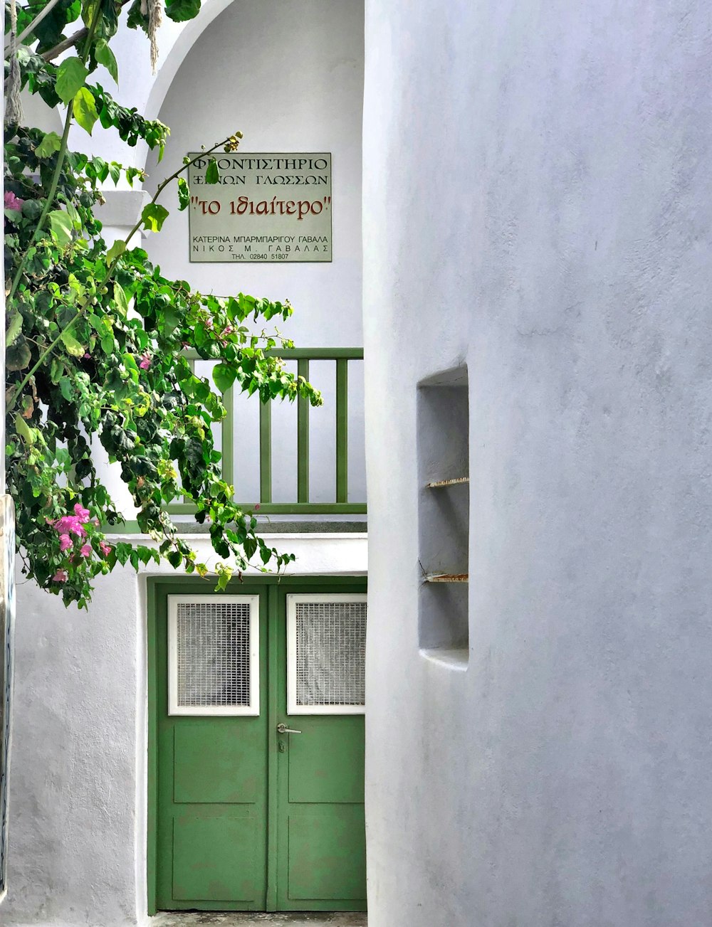 puerta de madera verde con planta verde