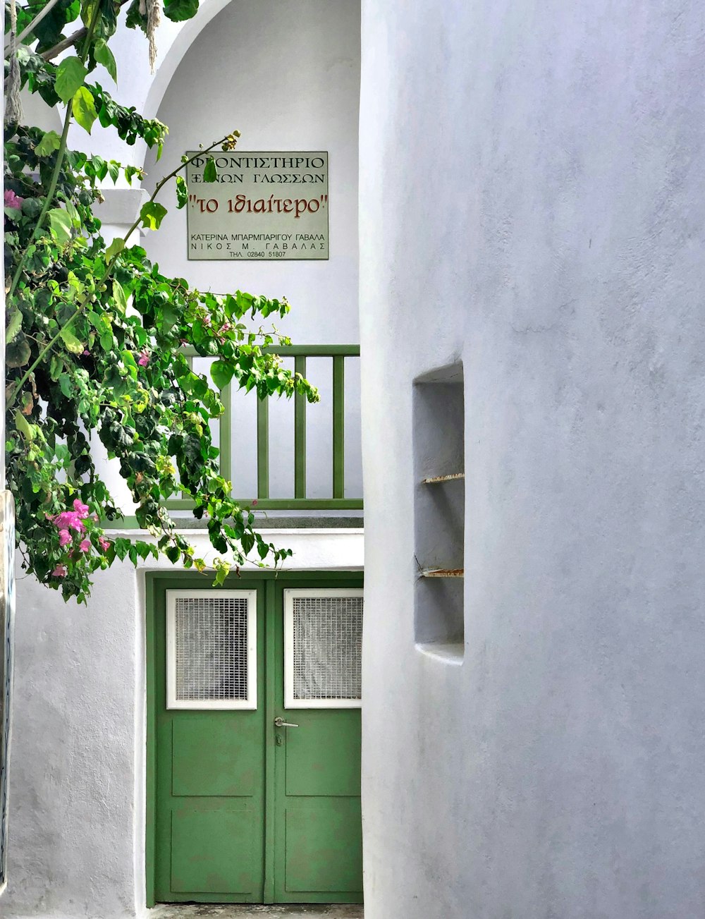 green wooden door with green plant