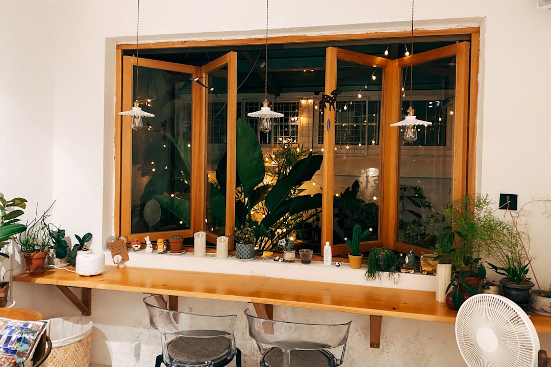 green potted plant on white ceramic sink