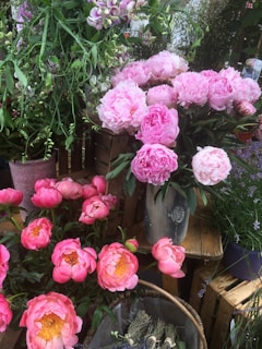A close-up of freshly cut, softly colored peonies and roses arranged in a rustic wooden crate on the flower farm's sunlit porch.