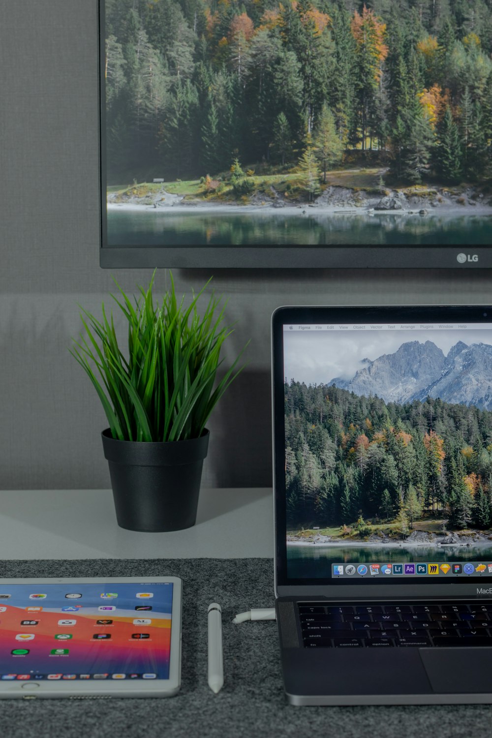 green potted plant beside white framed painting