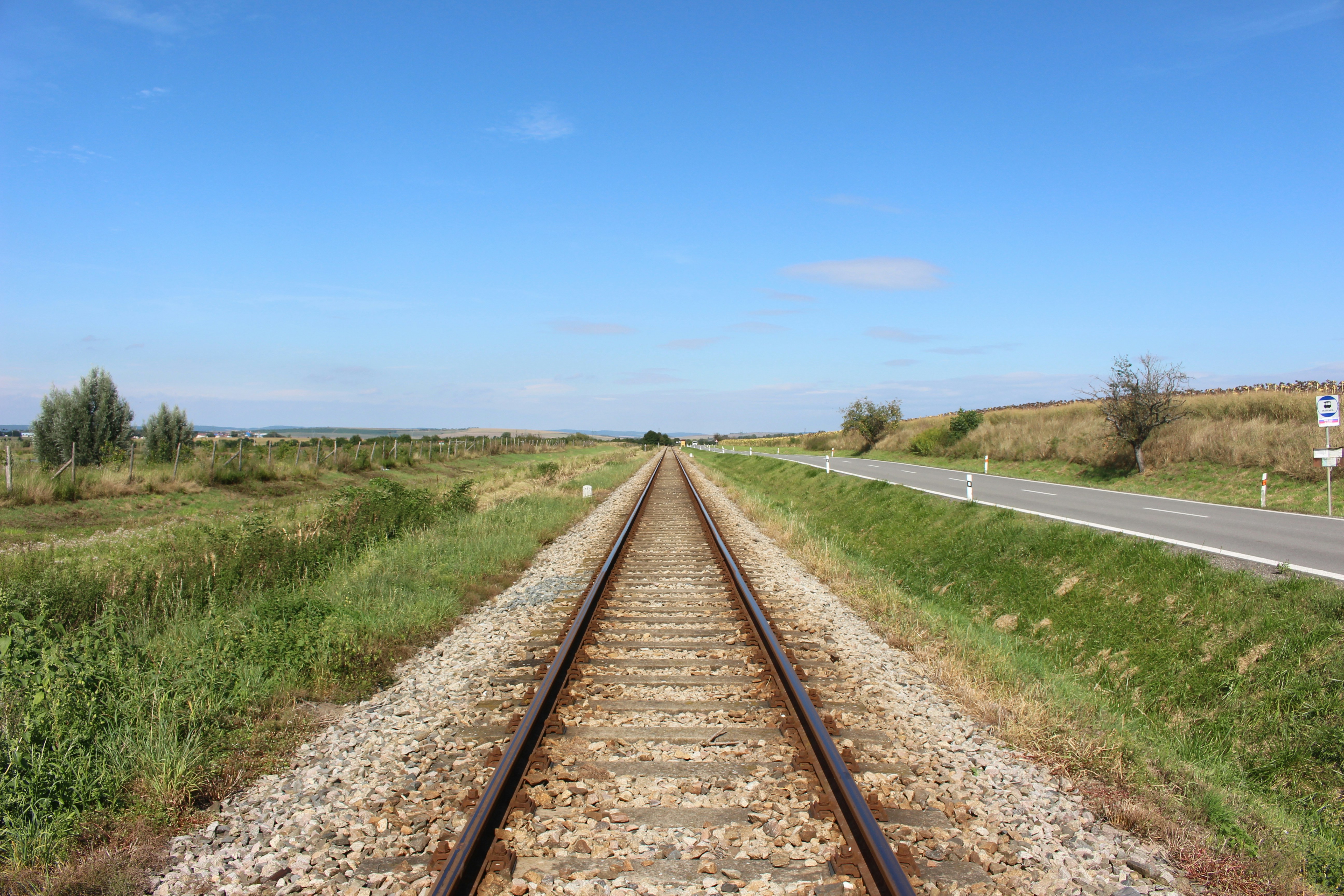 Photo by marjorylucabaxter