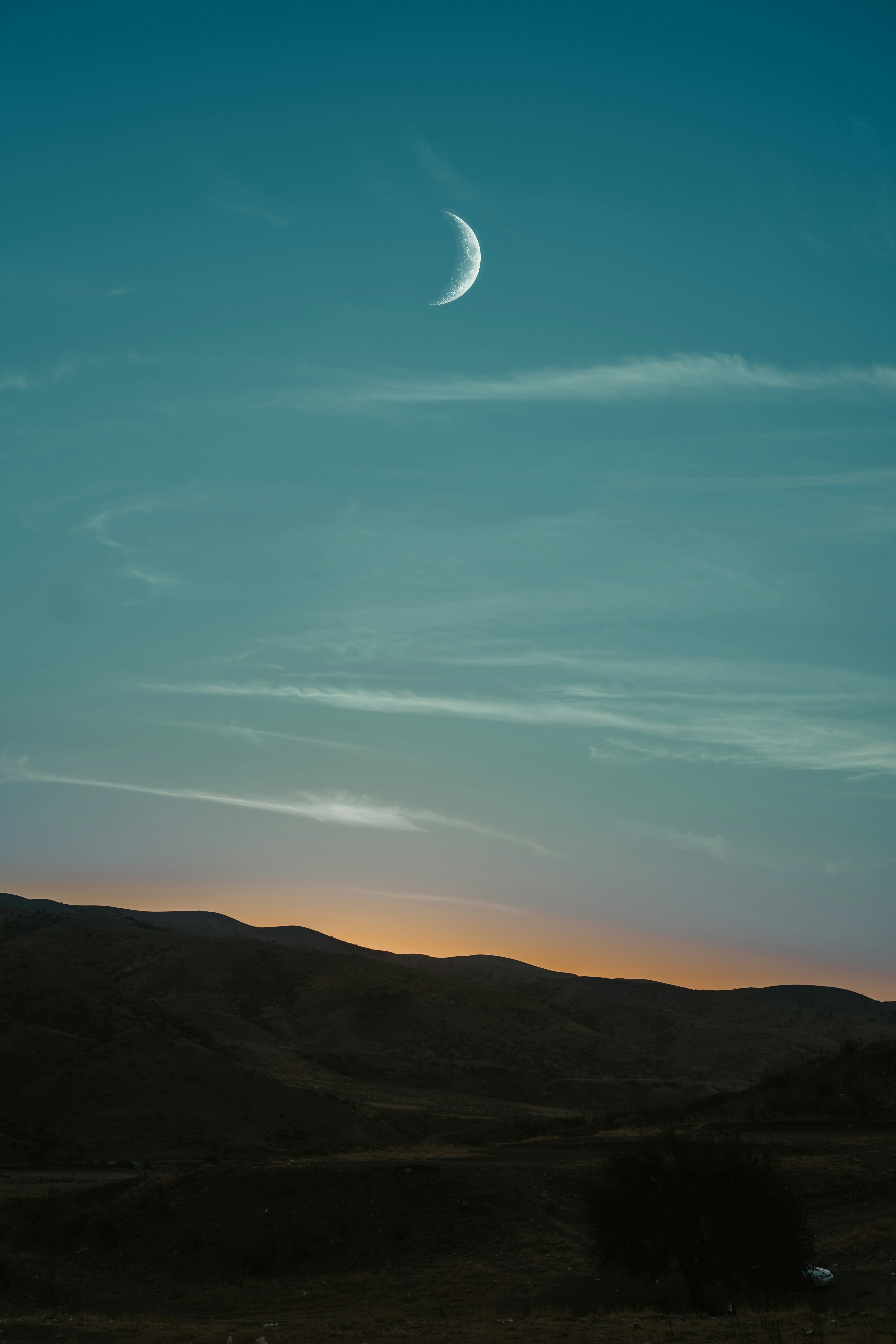 Photo by aranprime