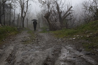 A lone traveler walking along a flooded street with umbrellas.
