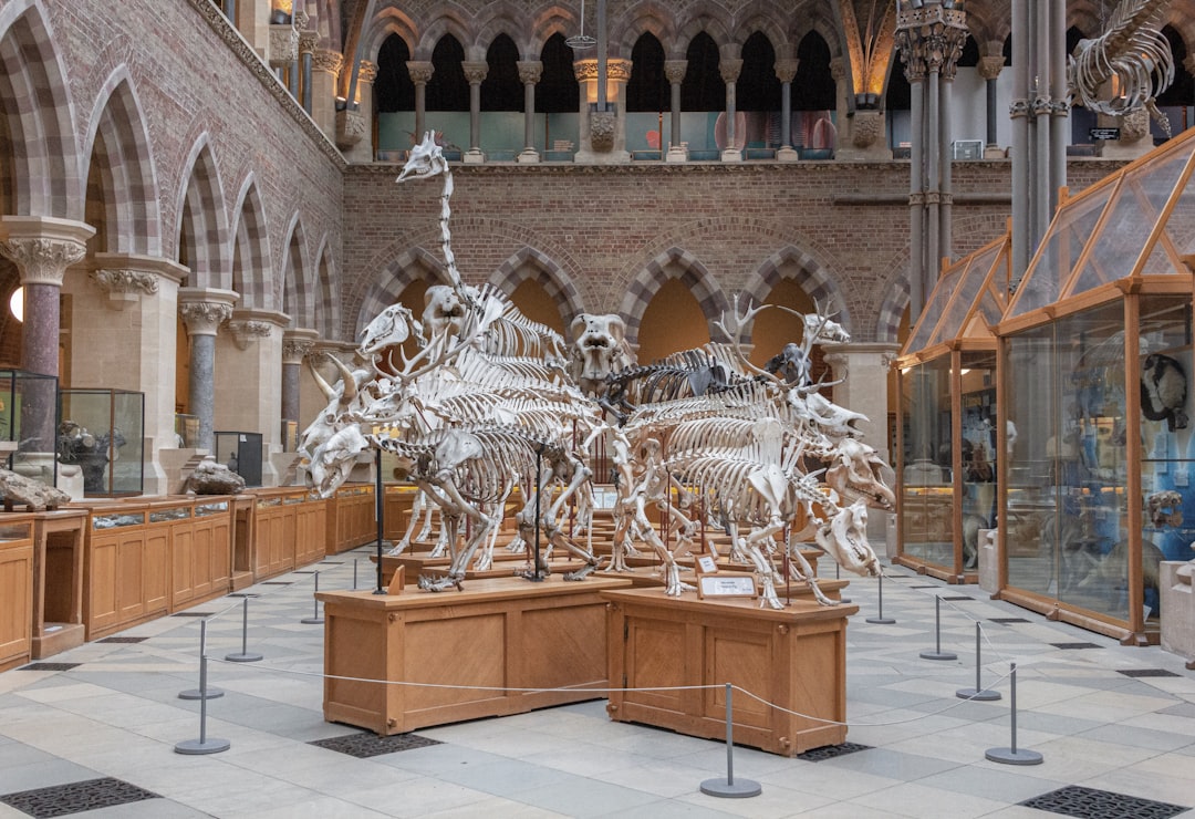 Le Musée d’histoire naturelle de Tours