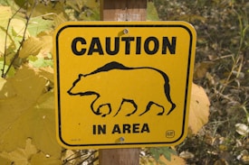 A yellow caution sign with a black silhouette of a bear walking. The sign is mounted on a wooden post surrounded by green and yellow foliage, indicating a natural setting.