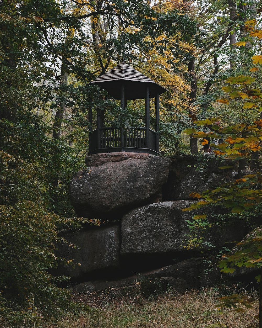 Brauner Holzpavillon auf grauer Felsformation, tagsüber von grünen Bäumen umgeben