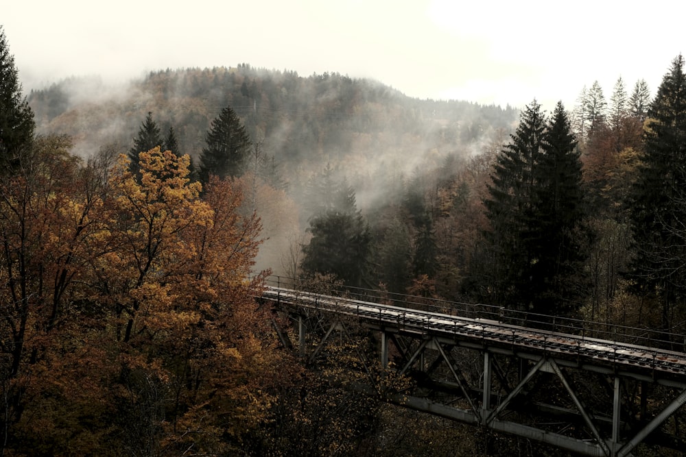 brown wooden bridge over green trees