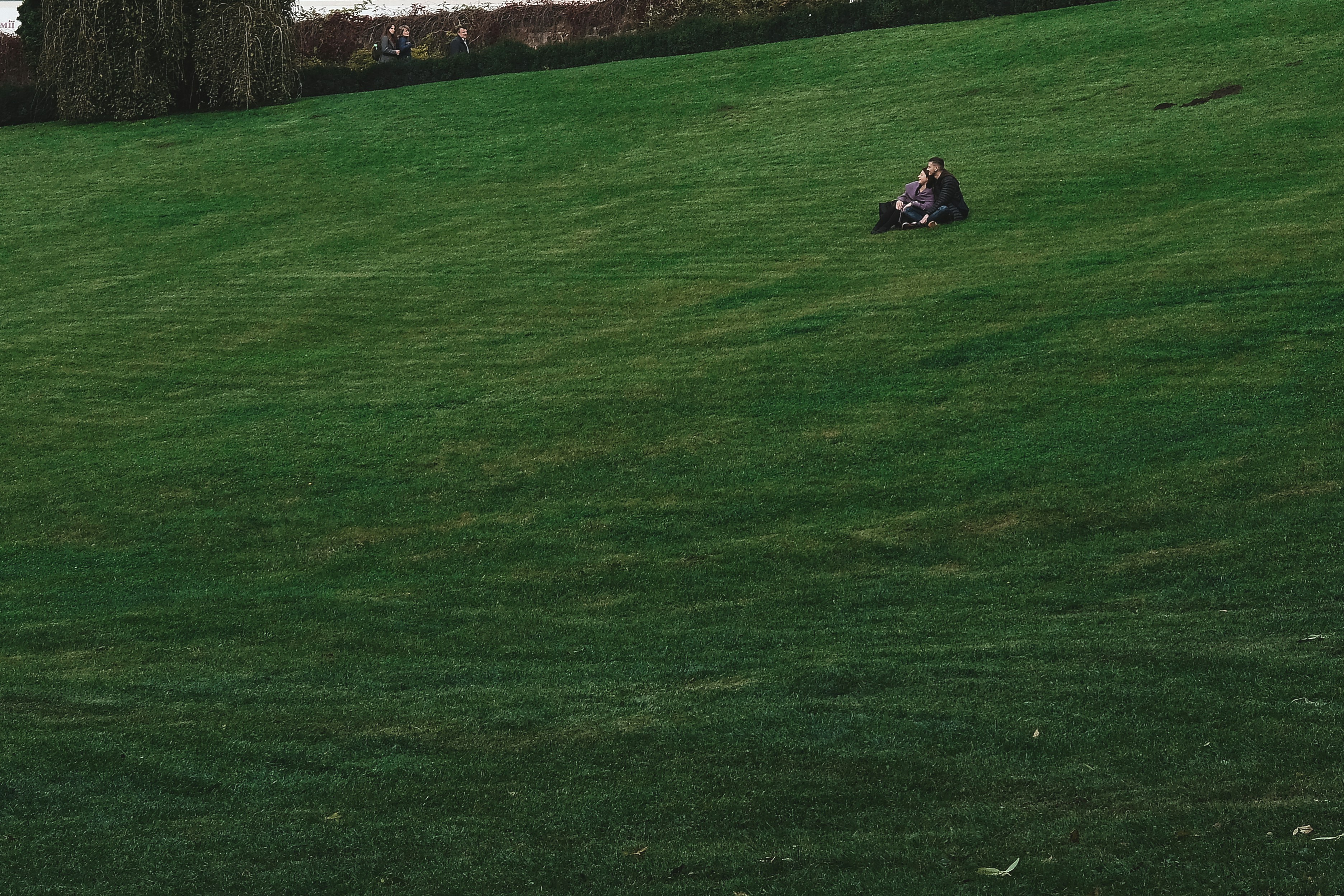 Testing soil pH in lawn grass for fertilizing