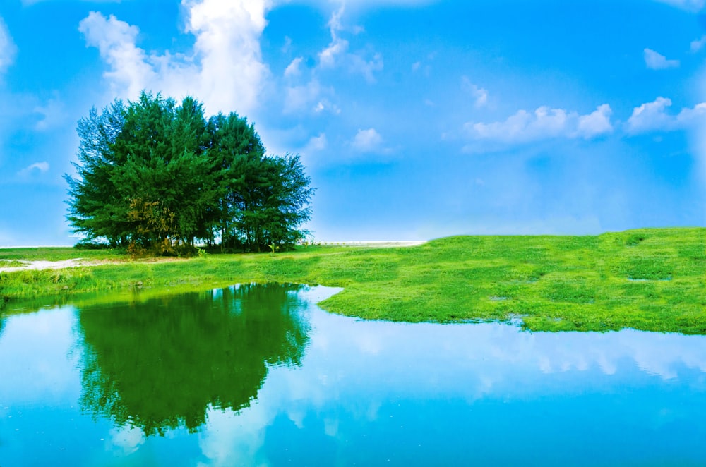 Grünes Grasfeld in der Nähe des Sees unter blauem Himmel und weißen Wolken tagsüber