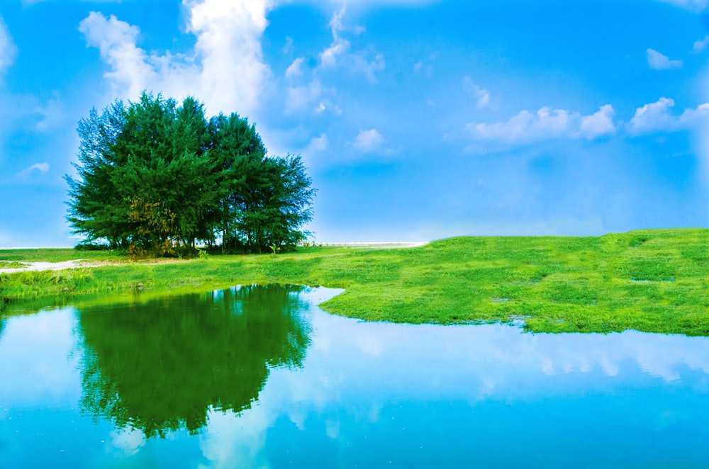 green grass field near lake under blue sky and white clouds during daytime