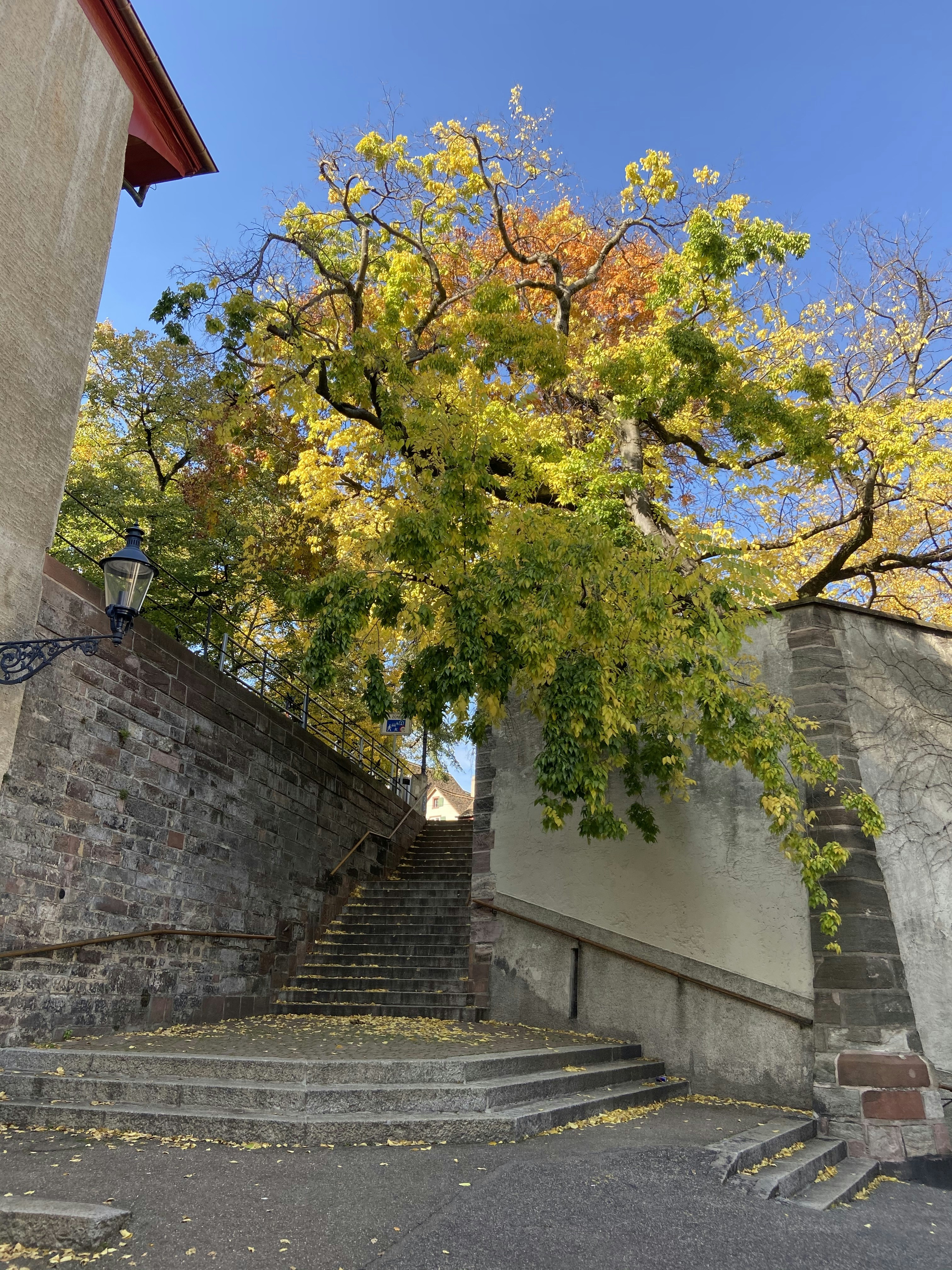 Photo by anajuliareis