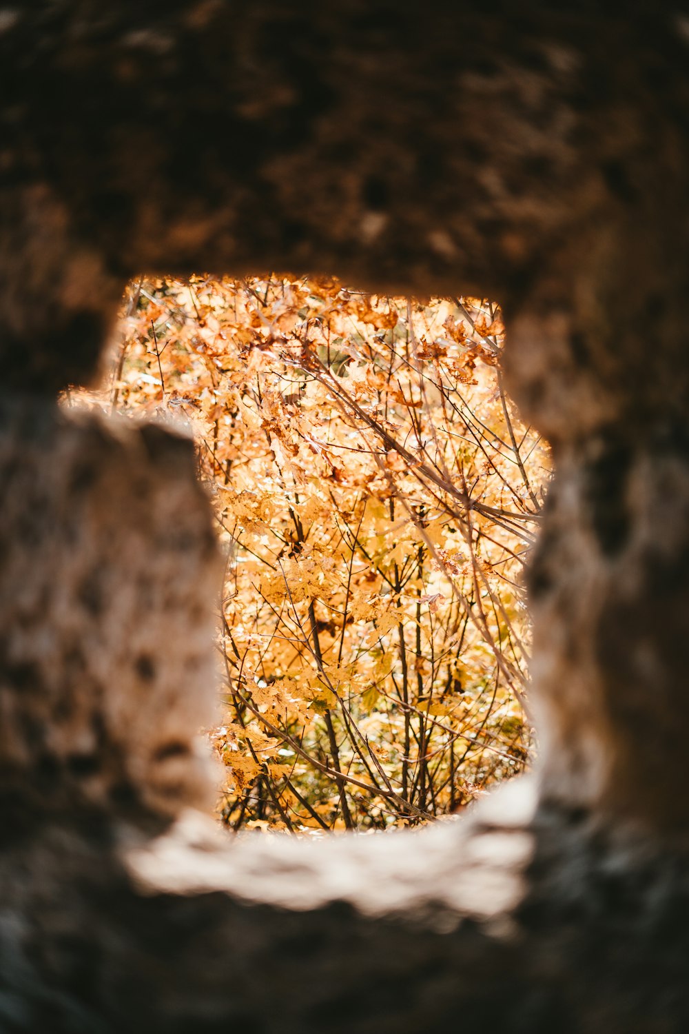 brown rock formation during daytime